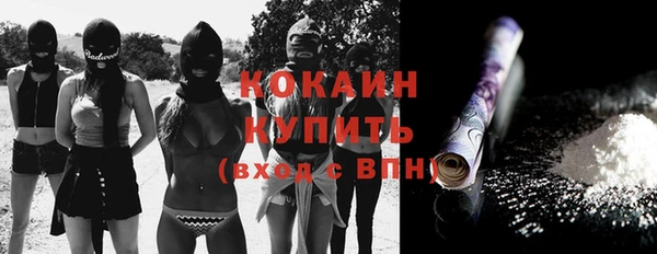 мескалин Ельня