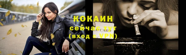 мескалин Ельня