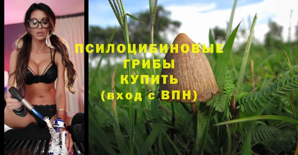 прущие крисы Елизово