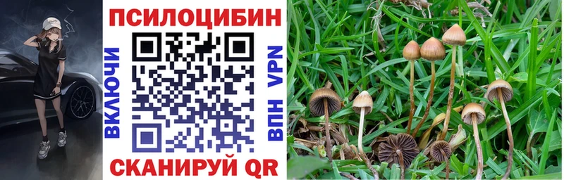 Купить  Людиново  Галлюциногенные грибы ЛСД 