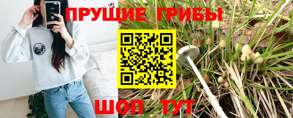 Псилоцибиновые грибы прущие грибы Людиново