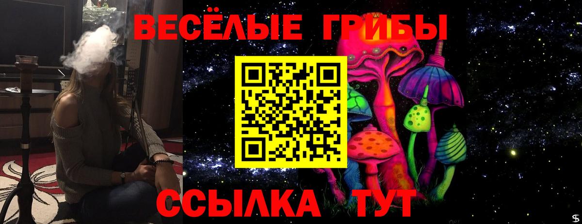 Псилоцибиновые грибы мицелий  даркнет сайт  Людиново  Вход с VPN 