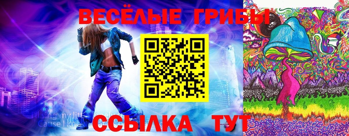 Псилоцибиновые грибы мухоморы Людиново